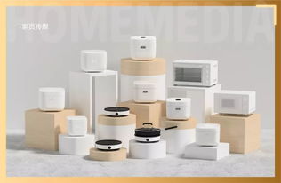 楊華 科技改變廚房,持續創新讓純米從0走到10個億